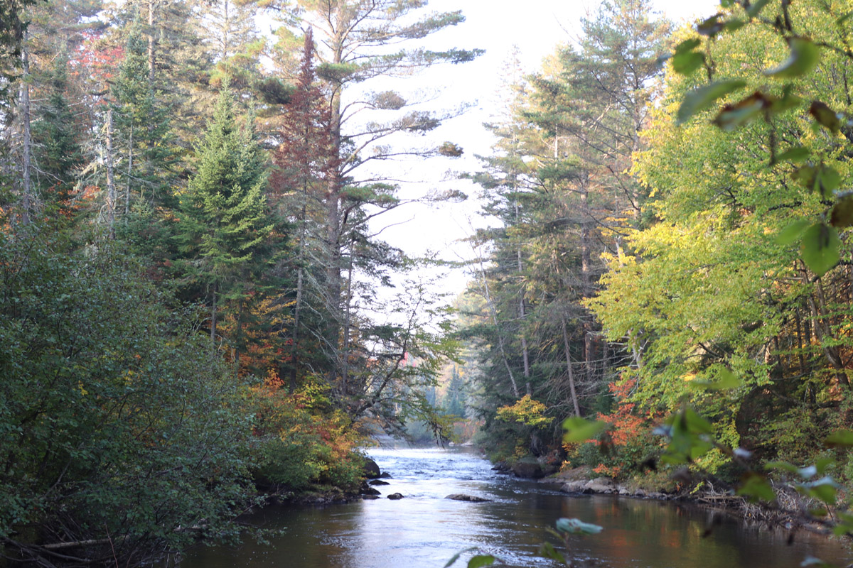 Whiskey Rapids Trail