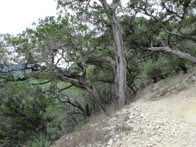 Steep Hike to Old Baldy Peak at Garner State Park