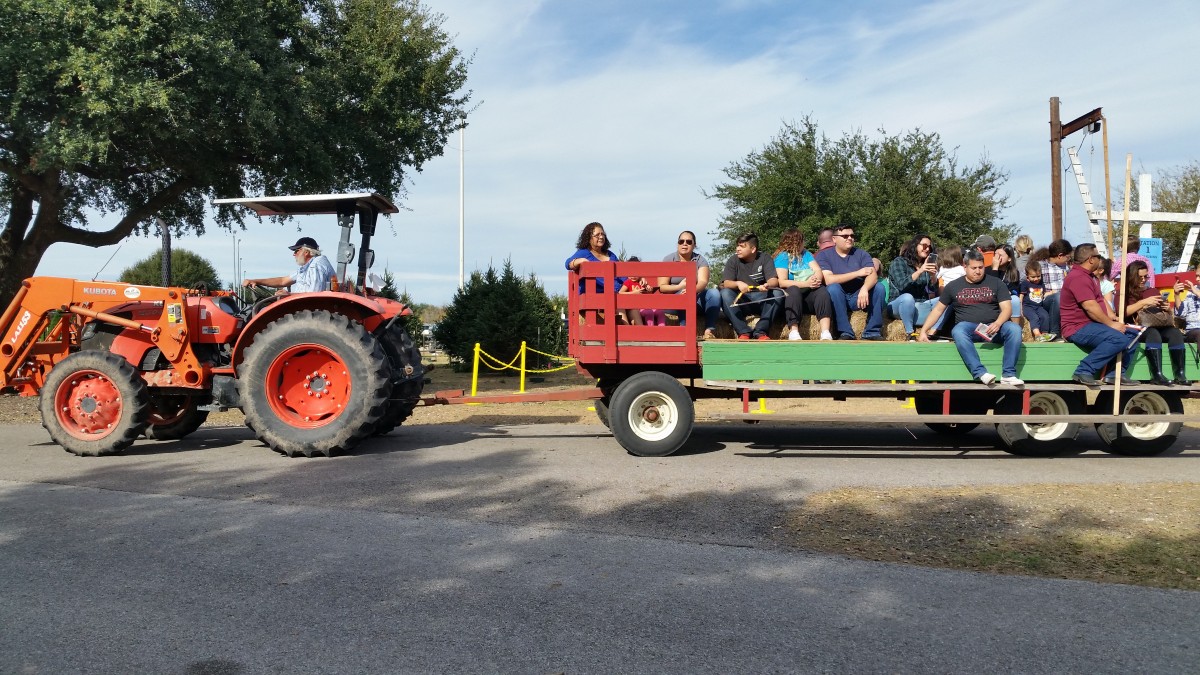 Hayride at Old Time Christmas Tree Farm