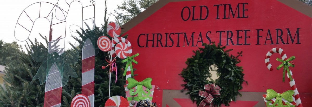 Old Time Christmas Tree Farm